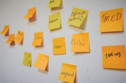 Sticky notes on wall